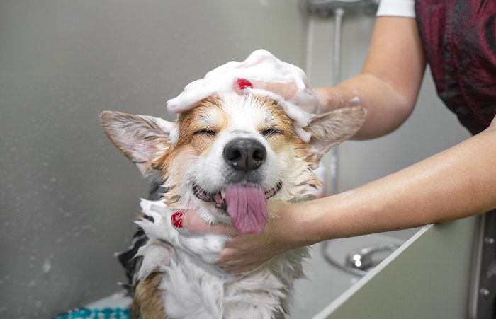 Hydro Bath Service In Kukatpally