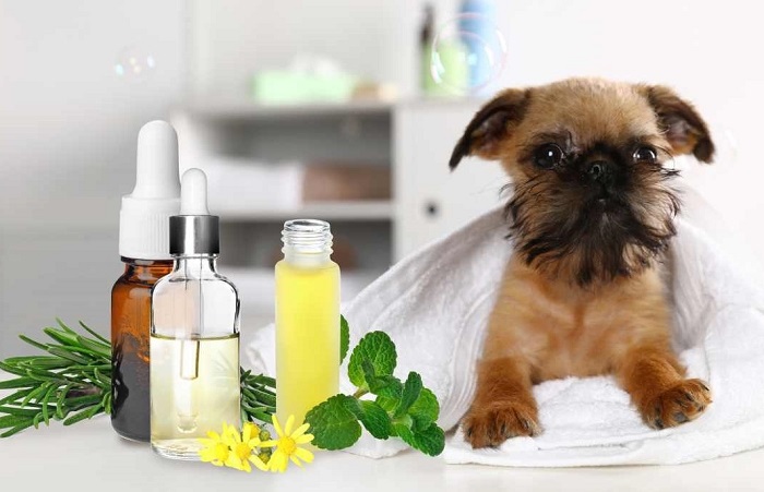 Aromatherapy Service In Kukatpally