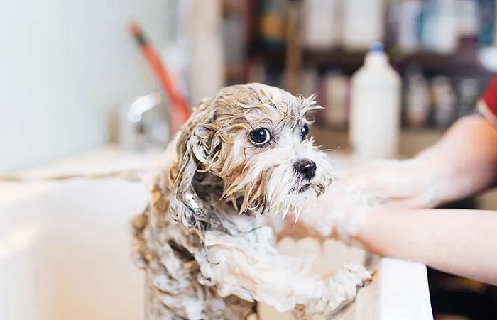 Hydro Bath Service In Secunderabad